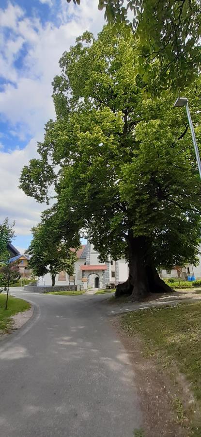 Apartmaji Mojca Pensionat Križe Exteriör bild