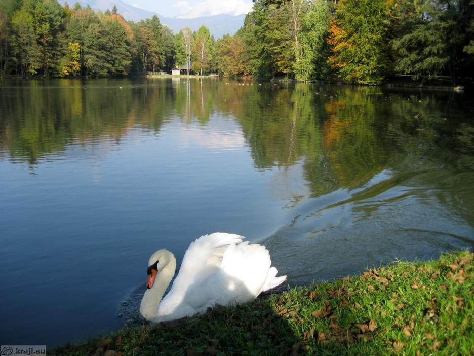 Apartmaji Mojca Pensionat Križe Exteriör bild